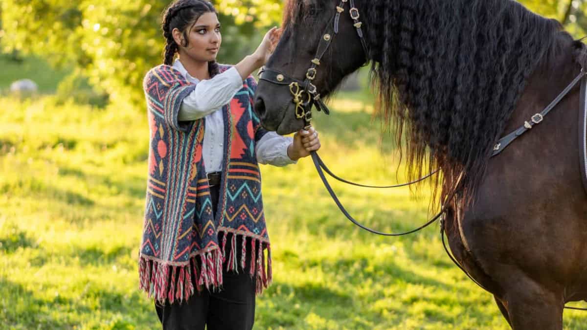 How do I access equine therapy under the NDIS?