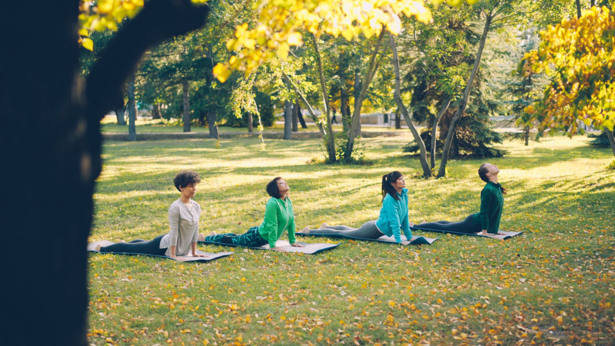 Therapy session in a beautiful outdoor setting