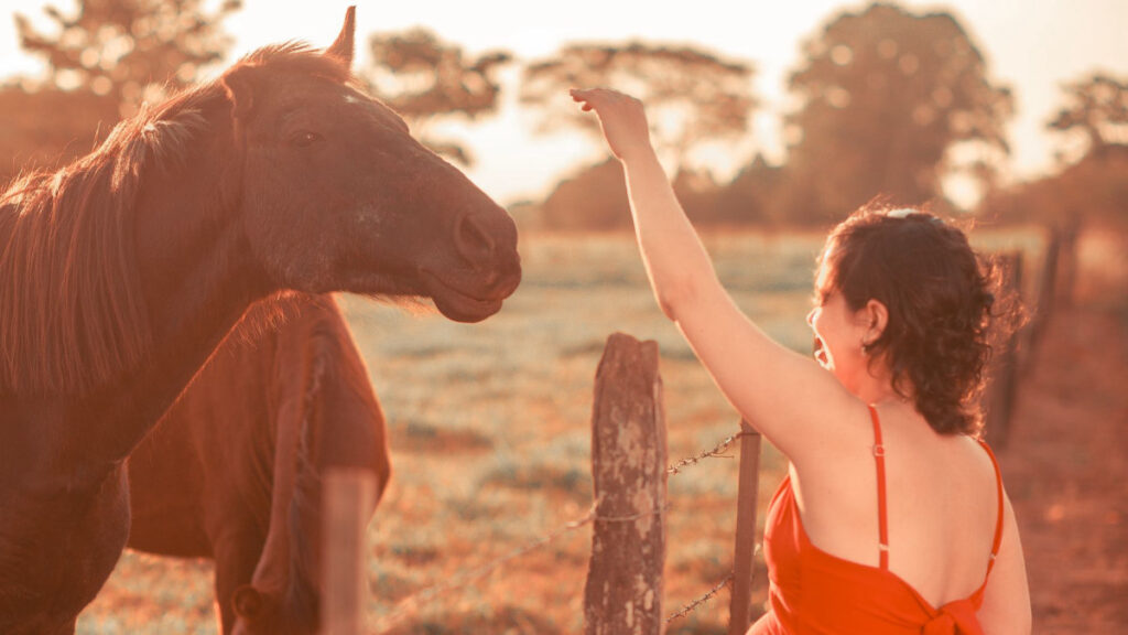 Woman connecting with a horse at golden hour