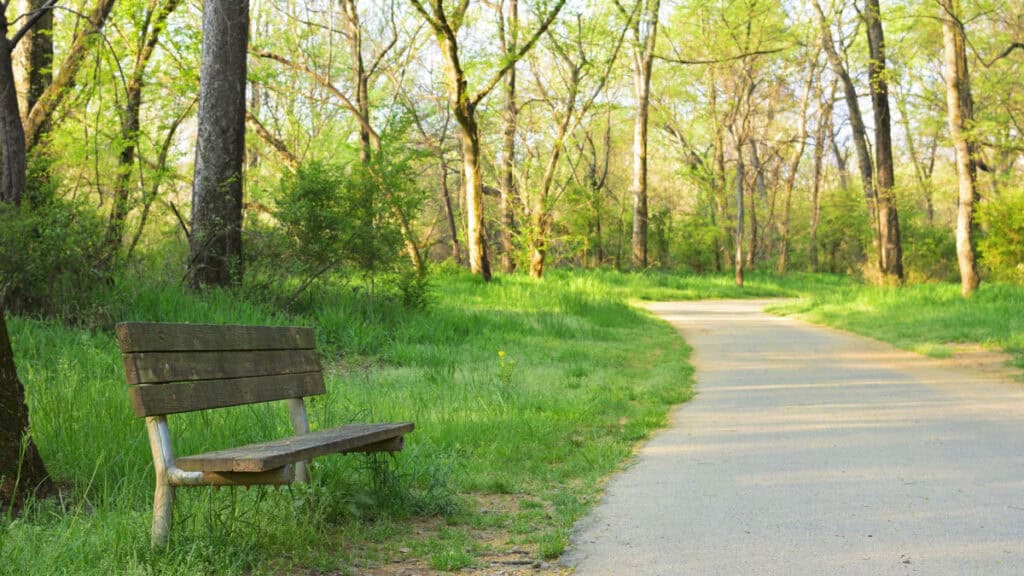 Person walking on a peaceful nature path