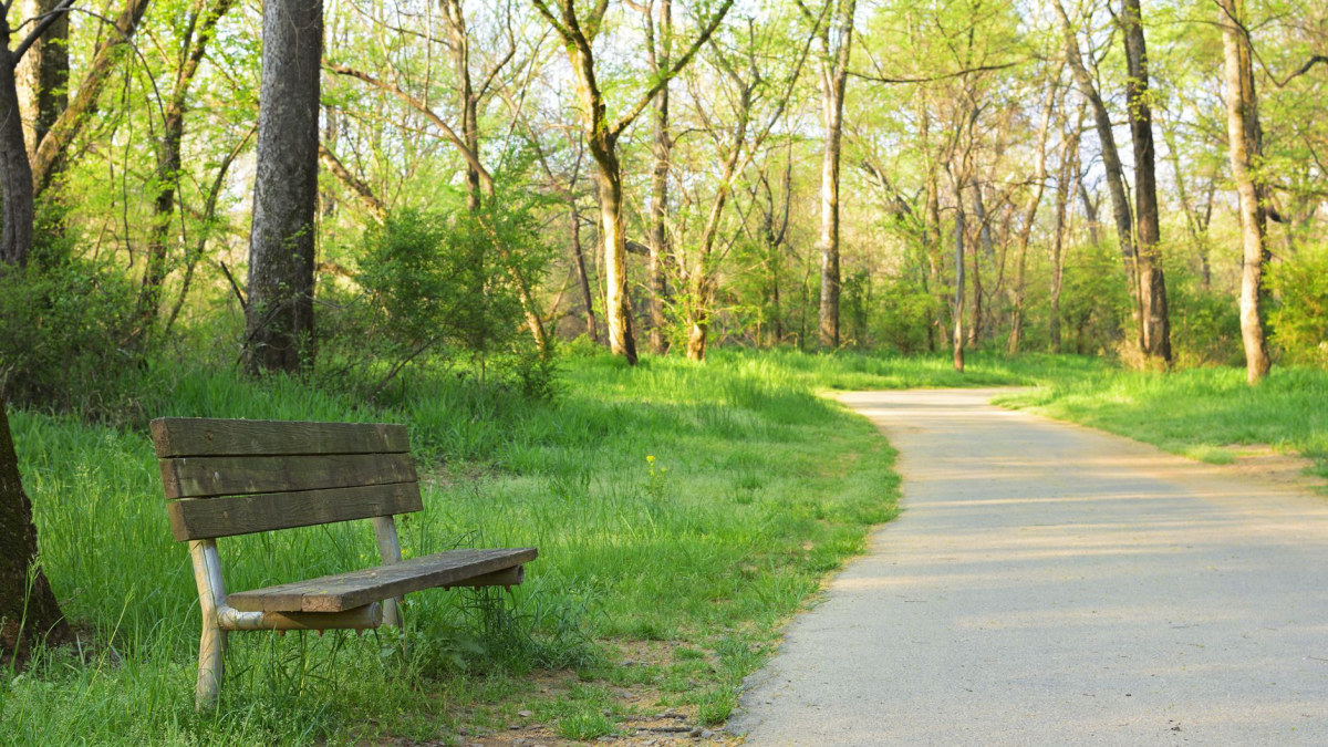 Person walking on a peaceful nature path