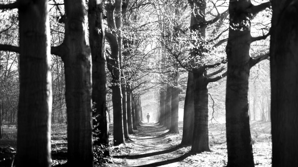 Person walking forward on a path with hope